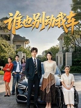 谁也别动我车